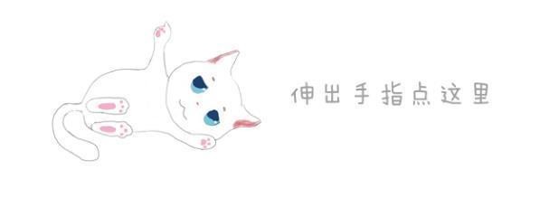 主人为爱猫买回玩偶可当狸花猫躺上海豹后变成了同款海豹猫